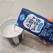 덴마크 소화가 잘되는 우유 고소하고 맛있는 락토프리 우유 추천