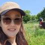 여성 여름 모자 추천 - 화이트샌즈 리본 캡 모자(리본 지사 볼캡 레노라)