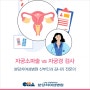 자궁소파술 vs 자궁경 _ 분당차여성병원 산부인과 김나리 전문의