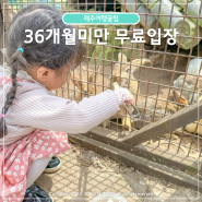 제주도 동쪽 아기랑 갈만한곳, 36개월 미만 무료 입장 관광지