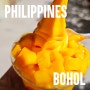 필리핀 여행 디저트 맛집 보홀 할로망고 망고홀릭 망고아이스크림