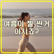 여름 할인 이벤트가 제일 싼거 아시죠? :: 구로헬스/구로구청헬스/구로구청헬스장