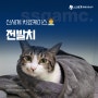 고양이 전발치 치료 케이스 : 전발치 하는 이유?