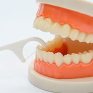 공덕역치과 치실의 효과, 종류, 치간칫솔 차이 모두 알려드립니다.