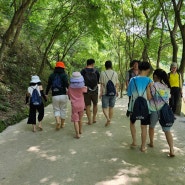 순창 강천산 맨발 트래킹 강산맨 6월 15일 개최
