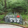 서울대공원 캠핑장 주차 전기카트 입장료 매점 대여물품 계곡 샤워장
