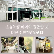 초등학생 아이와 갈만한 곳 대전 천연기념물센터