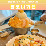 연남동 애플망고 복숭아 빙수 맛집 홍대 카페 + 후르츠 크로플