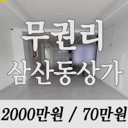 매물번호 13632 [ 울산남구상가임대 ] 삼산동 대단지 아파트를 끼고있는 상권 도로변에 위치한 건물 1층 무권리 상가임대