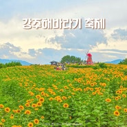 함안 강주해바라기 마을 축제 여행 경남 꽃구경 6,7월 가볼만한곳
