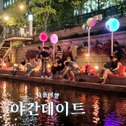 서울 야간 데이트 장소 청계천 야외도서관 청계광장 종로3가포장마차