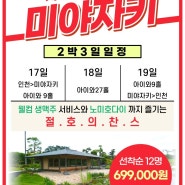 ⭕️일본 미야자키 골프 아이와CC 699,000원!