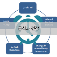 금식과 건강 - 인천터미널정형외과, 신사터미널마취통증의학과