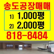 인천 송도공장매매 연구소 1000평형,2000평
