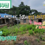 [J0626] 시골빈집 마당너른 저렴한 농가주택 정읍시 정우면 542㎡(164) 2,700만 원