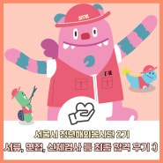 서울시 청년해외봉사단 2기 최종합격! 서류, 적합도검사, 면접, 신체검사 합격 후기