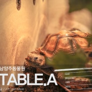 남양주동물원 테이블에이 다산실내동물원 추천