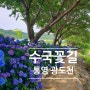 수국 핫플레이스 통영 광도천 산책로 수국꽃길