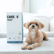 강아지 췌장염 사료 동물병원 저지방 사료 추천