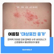 여름철 더 위험한 대상포진, 부산내과 힘내라병원에서 알아보는 예방법과 치료