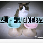 네이버펫 앰버서더) 고양이 맞춤테이블&식기 추천!! 체형과 자세에 맞게 먹자!! 《페스룸(Pethroom) - 웰핏 테이블&보울(WellFit table&bowl) 》💙