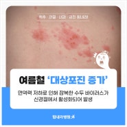 여름철 증가하는 '대상포진', 부산내과 힘내라병원에서 알려주는 치료와 예방