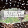 충남공주 가볼만한곳 ‘연미산자연미술공원’ 이용후기, 포토존, 관람소요시간