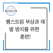 [인천무릎재활, 인천선수트레이닝,햄스트링 손상] 햄스트링 부상과 재발 방지를 위한 훈련!