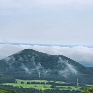 제주도 서쪽 오름 큰노꼬메오름 잣성길 산수국