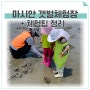 인천 마시안 갯벌체험장 아이랑 다녀온 후기 체험팁 & 맛집 총정리!