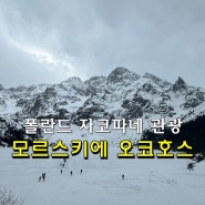 폴란드 자코파네 '모르스키에 오코 호수 ' 관광