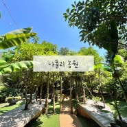 통영나폴리농원 -- 편백나무숲 맨발걷기 여행코스