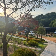 시흥 물왕호수 신상카페, 수목원카페 산골수목원 후기