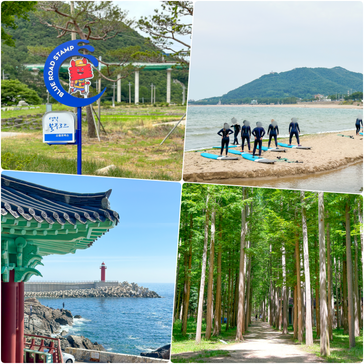 경북 영덕 1박2일 여행코스 3촌캉스 먹거리 볼거리 가득해요 : 네이버 블로그