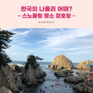 한국의 나폴리 어때?! 🥽스노쿨링 명소 삼척 장호항💙
