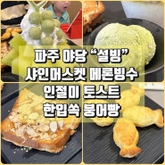 파주 야당 빙수맛집 설빙 샤인머스켓메론 빙수 디저트 먹방 내돈내산 후기
