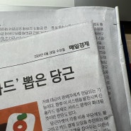 [매일경제] 6월 26일 신문 주요 내용(내 입맛대로)