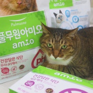 풀무원 아미오 고양이 항산화사료 믿고 먹이는 고양이사료추천