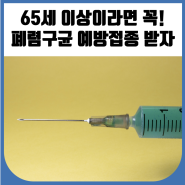 성남시 65세 이상 무료 예방접종 실시!
