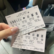 도쿄 나리타 공항 스카이라이너 할인 티켓 구매 방법 스카이엑세스와 차이점