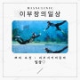 [이부장의 일상] 힐링 제주여행 2탄 (Feat.황금어장/애월도시해녀체험) - 대구미안의원