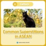 Common Superstitions in ASEAN