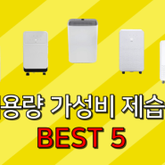 제습기 추천 비교 순위 용량 대용량 가성비 BEST5