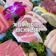 계양구 계산동 참치맛집 '바다애참치' 참치는 여기에서만 먹어요