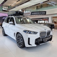 BMW X5 40i M 스포츠 미네랄 화이트 컬러 + 루프 박스 익스테리어 리뷰