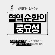 건강한 삶의 기초가 되는 혈액순환