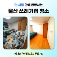 울산 쓰레기집 청소 방법 업체 후기