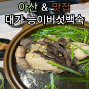 아산 외암마을 근처 몸보신하기 좋은 백숙 맛집 대가 능이버섯 백숙