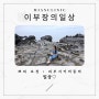 [이부장의 일상] 힐링 제주여행 1탄 (Feat.구엄리돌염전/오설록티뮤지엄) - 대구미안의원