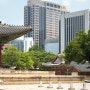 #.10 여름 기운이 만발한 6월의 서울 여행 명소, 서울 가볼만한곳 덕수궁과 함께하는 사진 일기